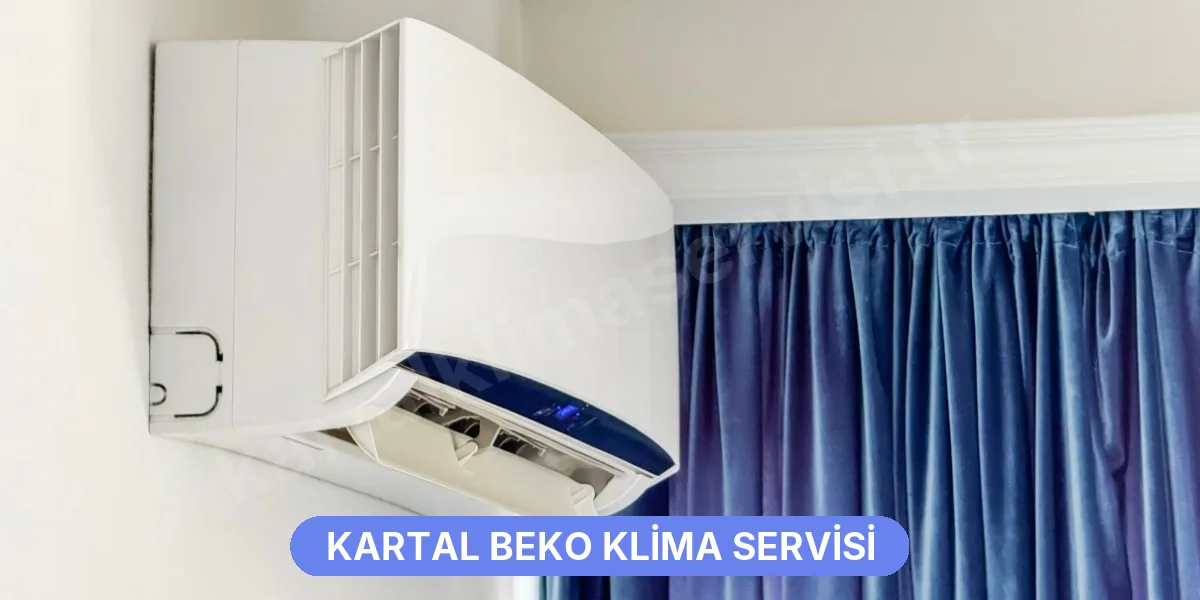 Kartal Beko Klima Servisi