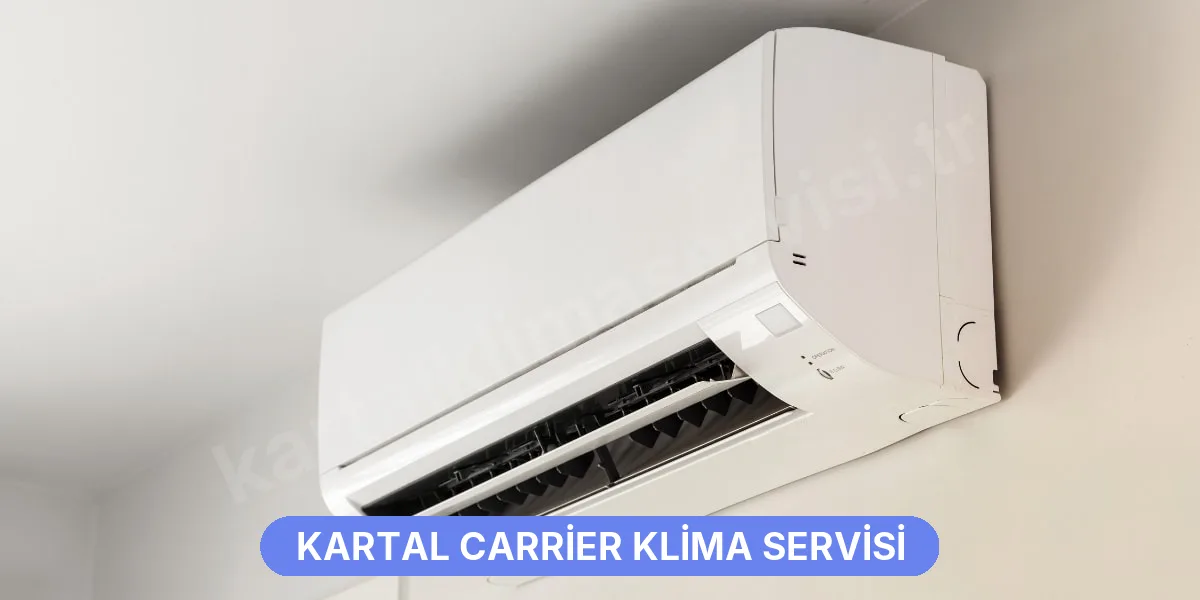 Kartal Carrier Klima Servisi