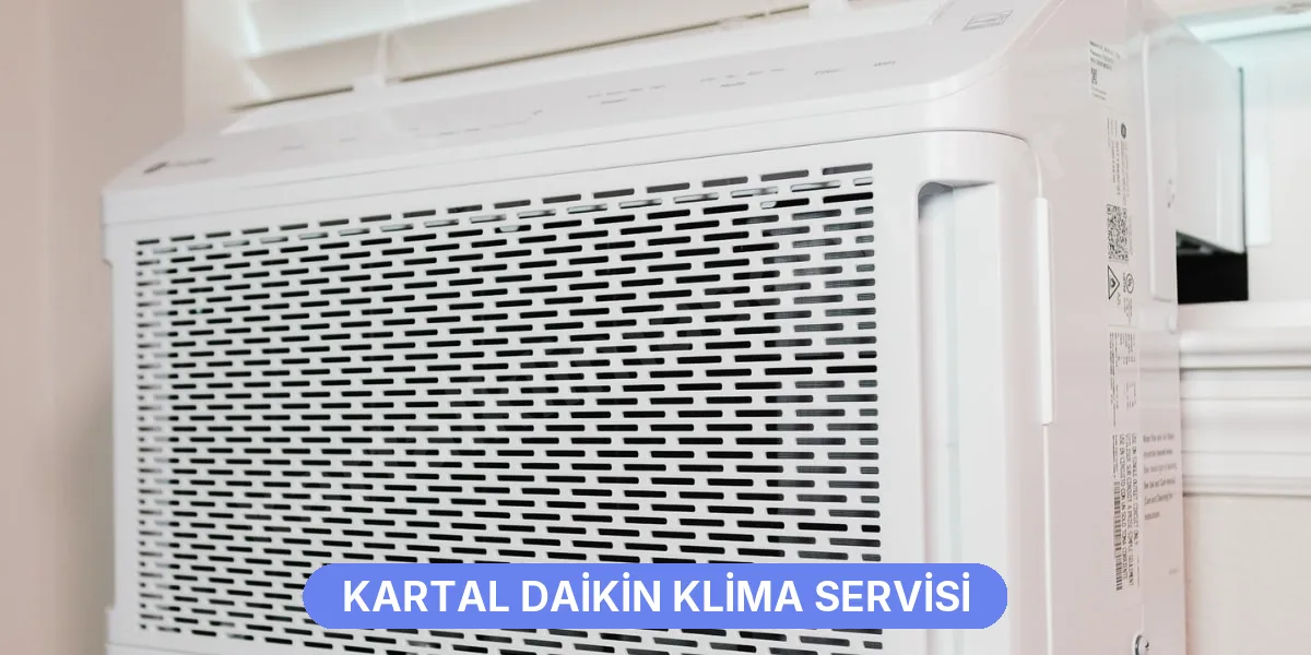 Kartal Daikin Klima Servisi