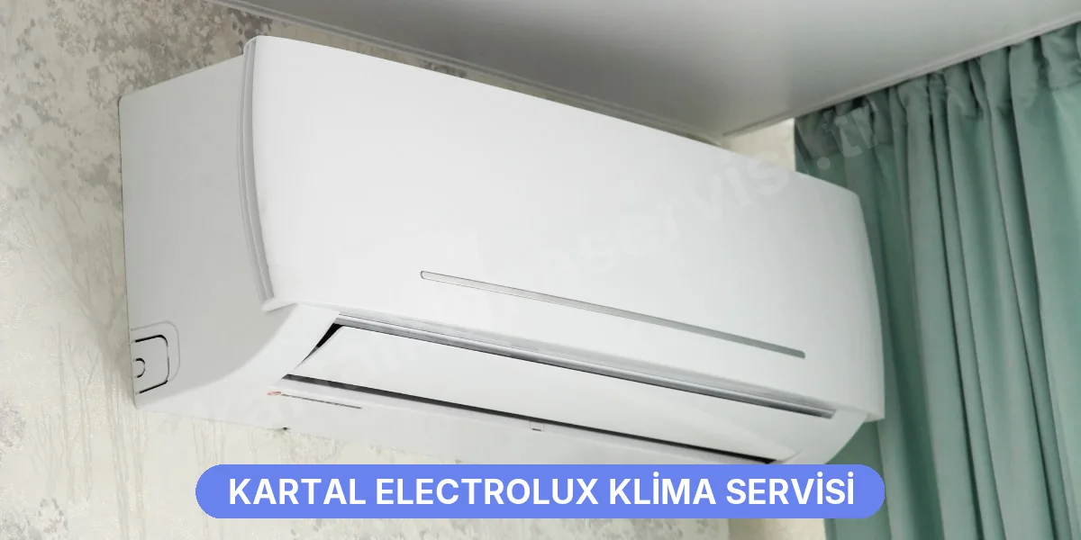 Kartal Electrolux Klima Servisi