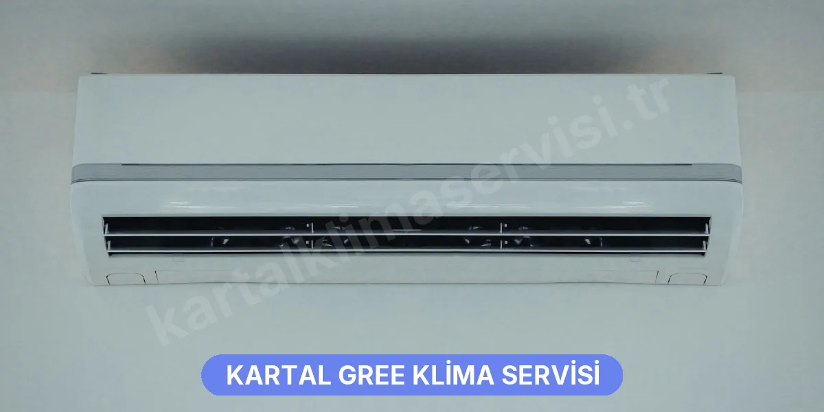 Kartal Gree Klima Servisi