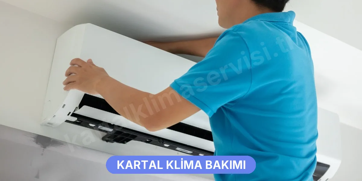 Kartal Klima Bakımı