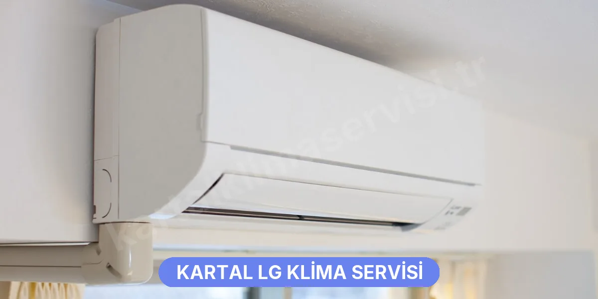 Kartal LG Klima Servisi