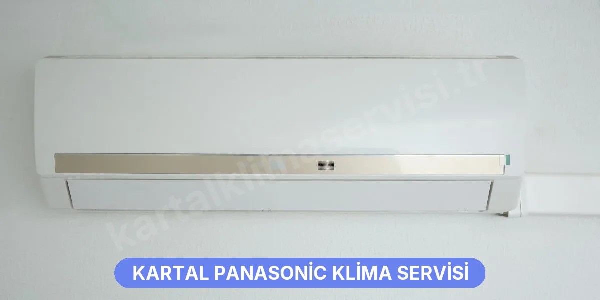 Kartal Panasonic Klima Servisi